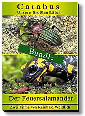 Produkte