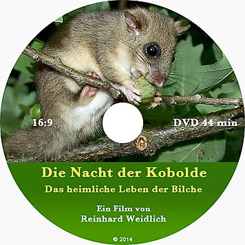 Die Nacht der Kobolde Siebenschl&auml;fer