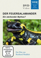 Feuersalamander