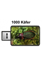 1000 Kfer