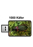 1000 K�fer